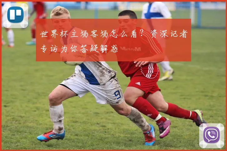 世界杯主场客场怎么看？资深记者专访为你答疑解惑