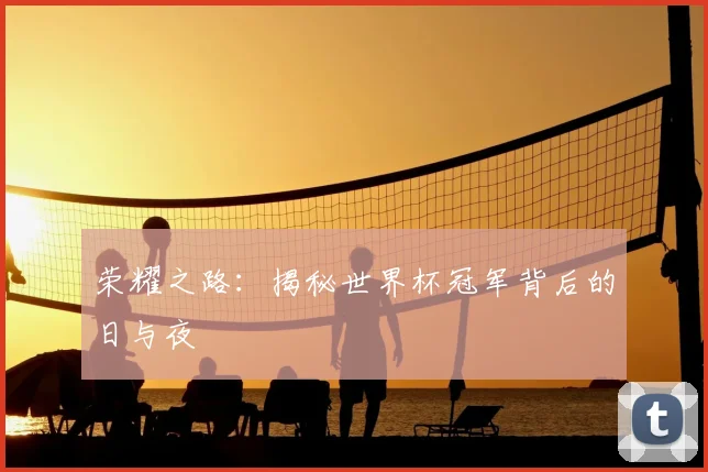 荣耀之路：揭秘世界杯冠军背后的日与夜