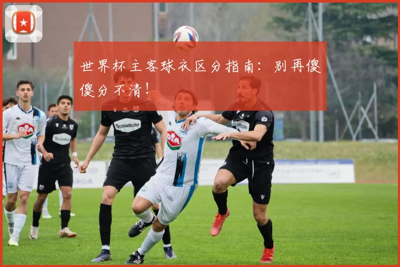 世界杯主客球衣区分指南：别再傻傻分不清！